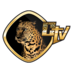 Cheetah TV